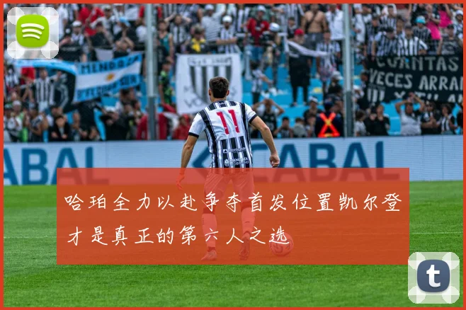 哈珀全力以赴争夺首发位置凯尔登才是真正的第六人之选