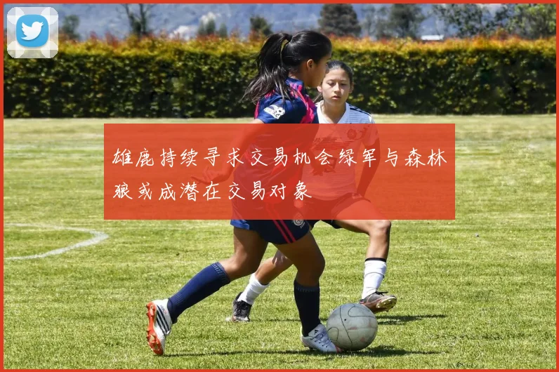 雄鹿持续寻求交易机会绿军与森林狼或成潜在交易对象