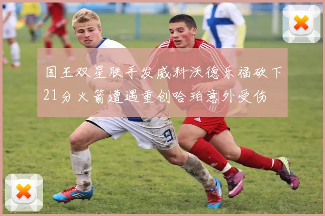 国王双星联手发威科沃德乐福砍下21分火箭遭遇重创哈珀意外受伤